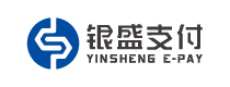 银盛支付